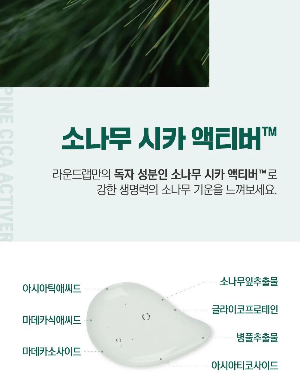 [긴급진정] 라운드랩 소나무 진정 시카 마스크 1매 상세페이지 10